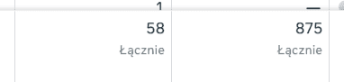 Meta Ads Manager - 875 leadów z kampanii i 58 z formularza na stronie Aldom